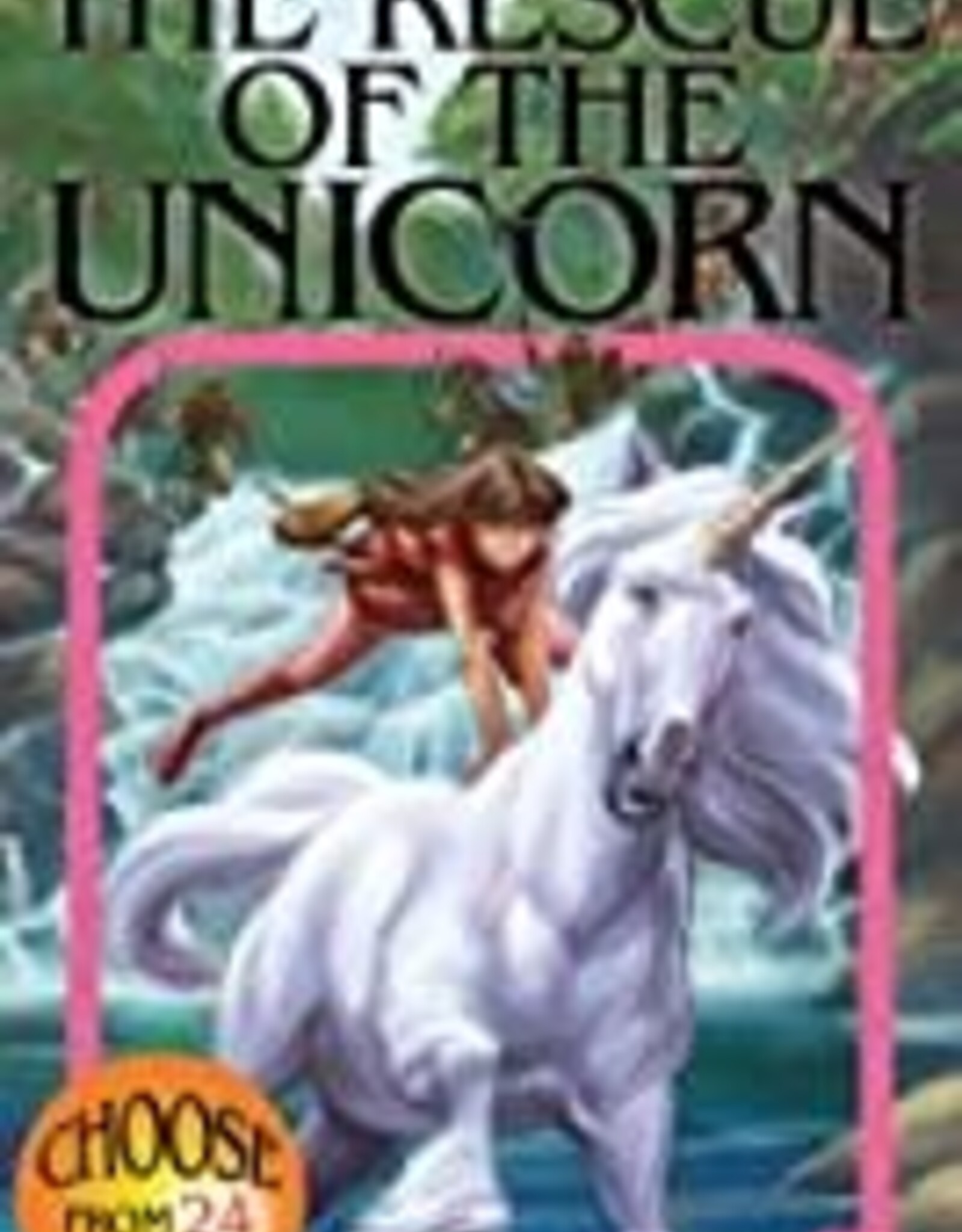 ChooseCo CYOA #200 The Rescue Of The Unicorn