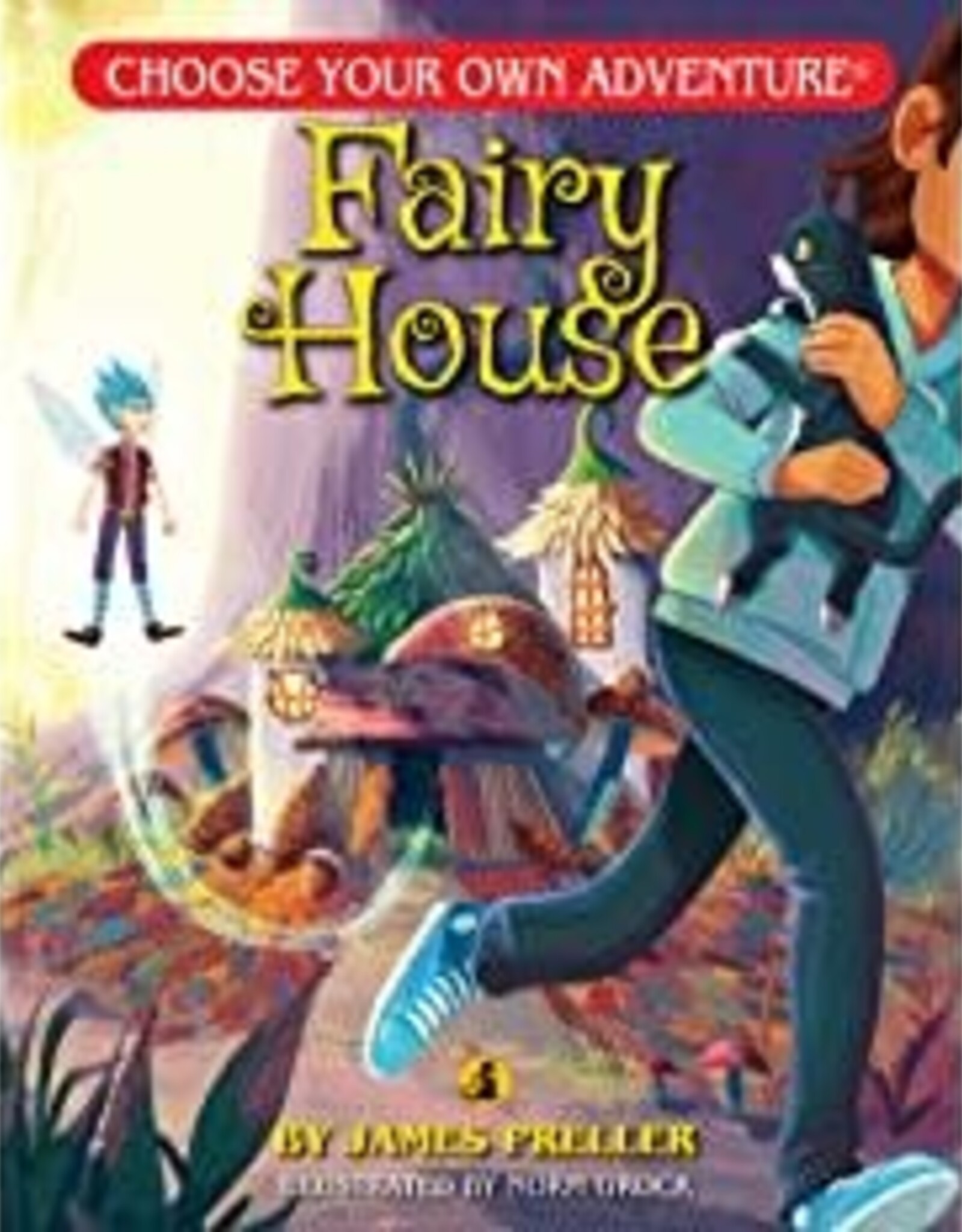 ChooseCo Dragonlark - Fairy House