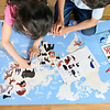 Dam Toys Discovery Poster - Animals of the World