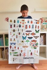 Dam Toys Discovery Poster - Insects