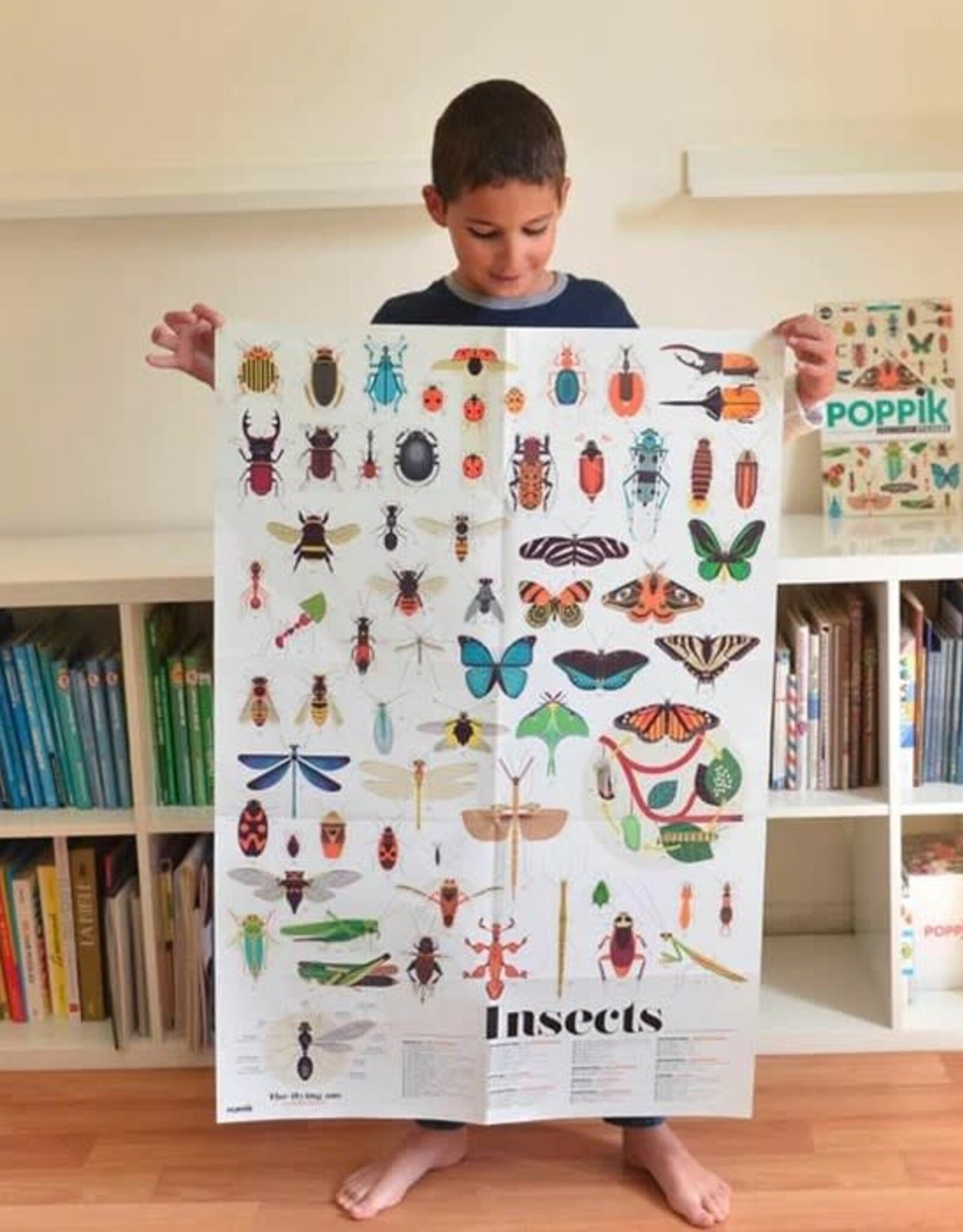 Dam Toys Discovery Poster - Insects