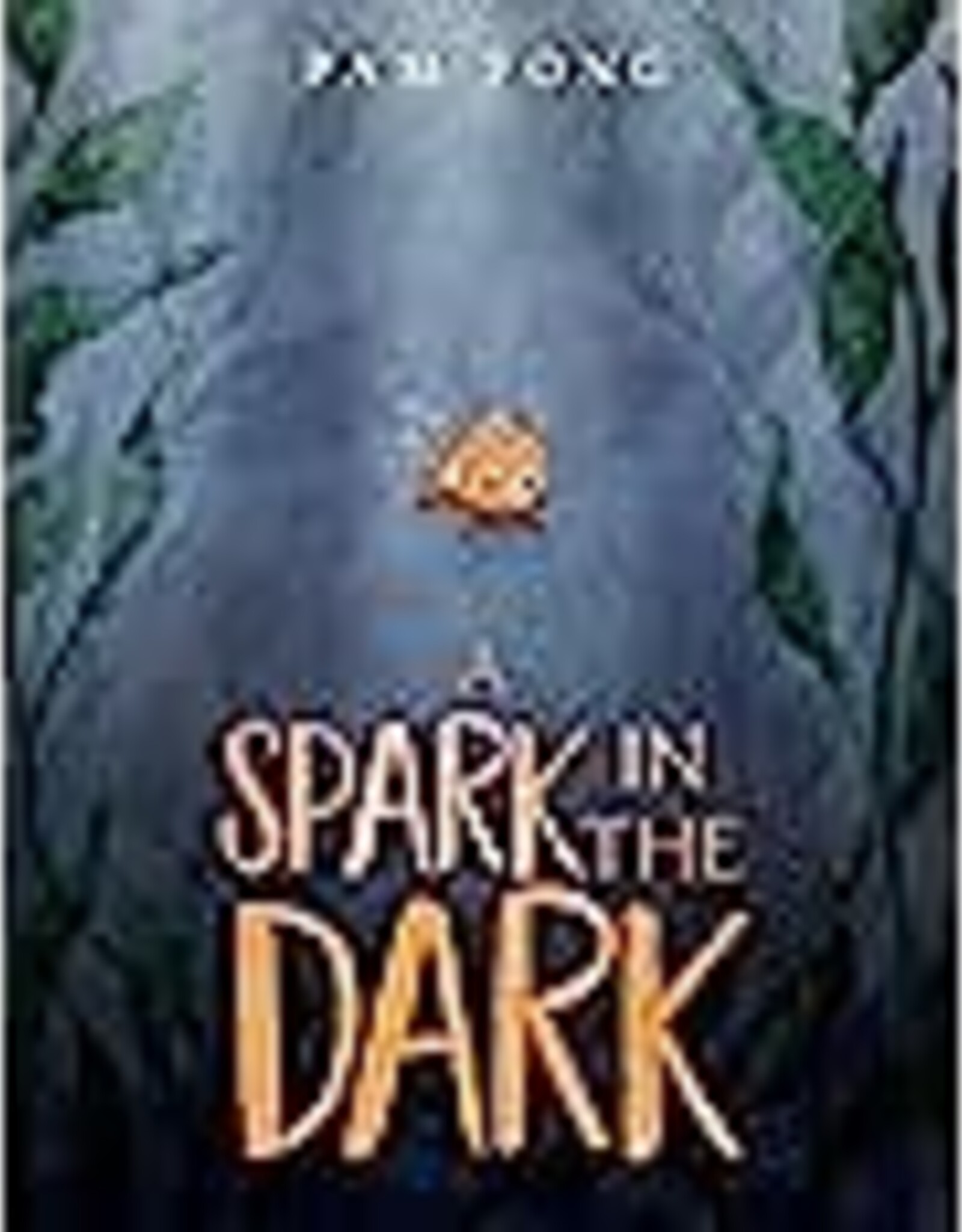 Harper Collins A Spark In The Dark