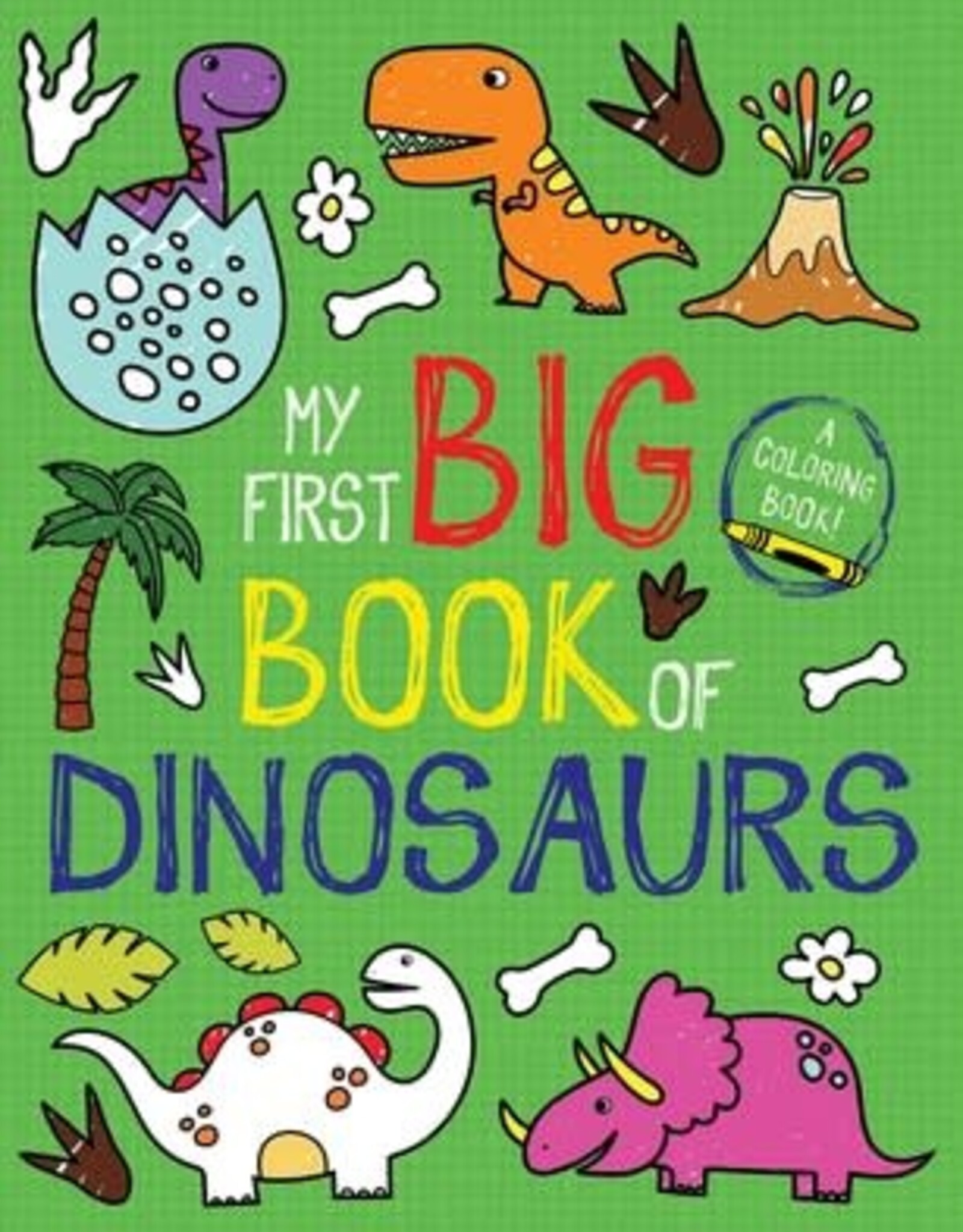 Simon and Schuster My First Big Book of Dinosaurs