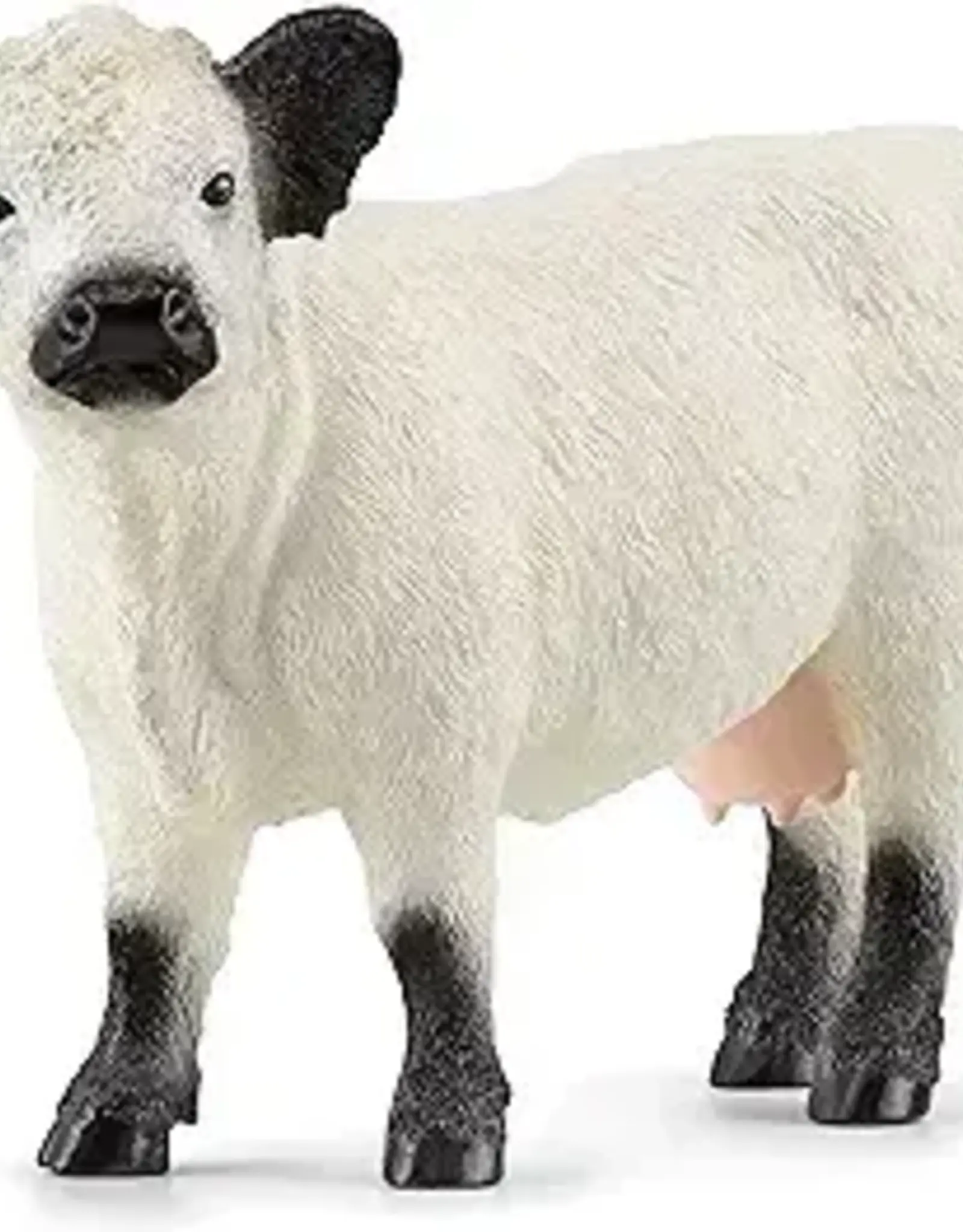 Schleich Schleich Galloway Cattle