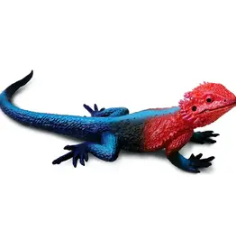 Safari Safari Mwanza Flat-Headed Rock Agama| NEW