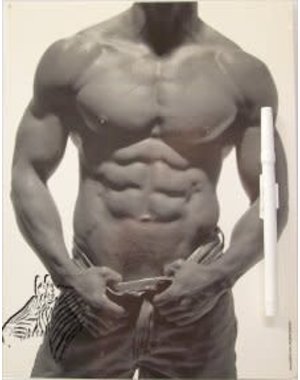  DAVID MORGAN FRIDGE NOTEBOARD