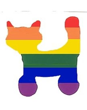 RAINBOW RAINBOW CAT STICKER