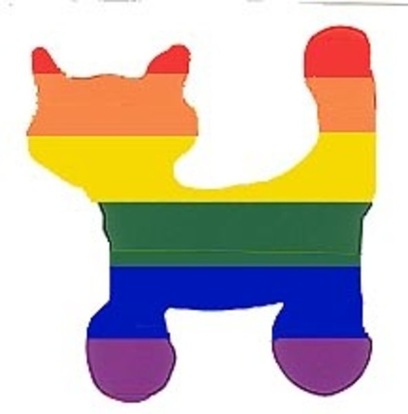 RAINBOW RAINBOW CAT STICKER
