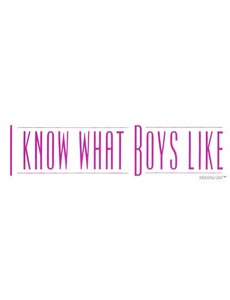 RAINBOW I KNOW WHAT BOYS LIKE STICKER