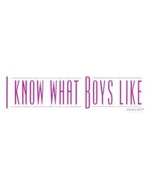 RAINBOW I KNOW WHAT BOYS LIKE STICKER