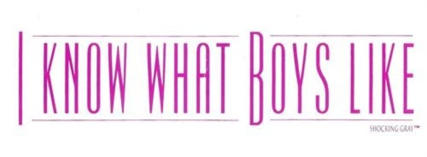 RAINBOW I KNOW WHAT BOYS LIKE STICKER