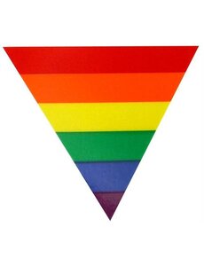  STATIC CLING RAINBOW  TRIANGLE
