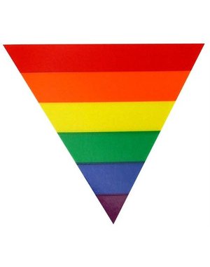  STATIC CLING RAINBOW  TRIANGLE