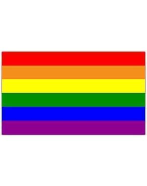 RAINBOW RAINBOW FLAG STICKER