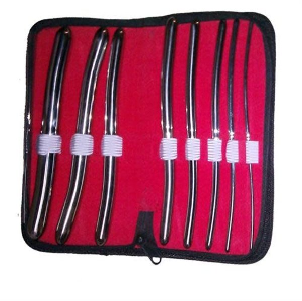 HEGAR 8 INCH URETHRAL SOUNDS SET CURVE