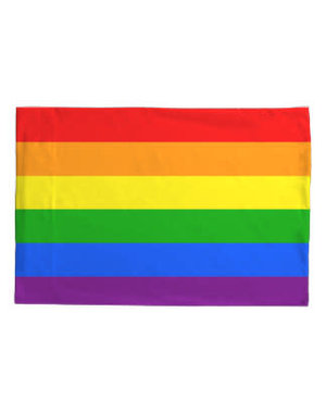  PILLOW CASE-PRIDE FLAG  - 25% OFF