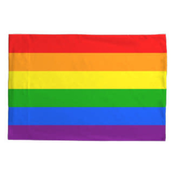PILLOW CASE-PRIDE FLAG  - 25% OFF