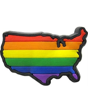 RAINBOW USA RAINBOW LAPEL PIN