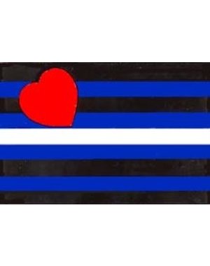 RAINBOW LEATHER PRIDE FLAG