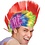 RAINBOW MOHAWK WIG