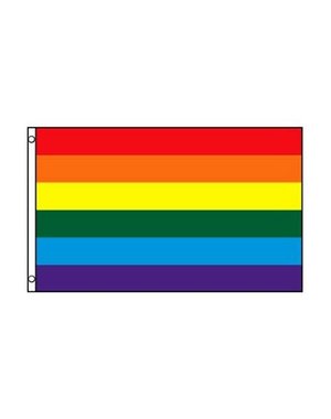 RAINBOW RAINBOW POLYESTER FLAG