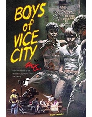  BOYS OF VICE CITY