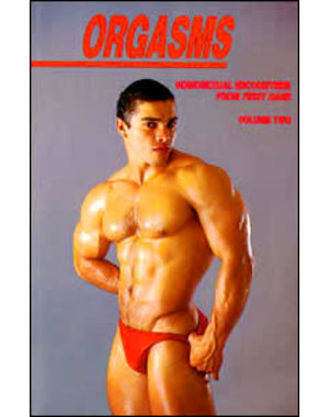 GAY SUNSHINE PRESS ORGASMS- HOMOSEXUAL ENCOUNTERS   VOL. 2