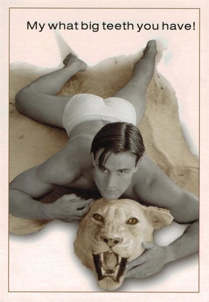 GUY LAYING ON ANIMAL RUG, MY WHAT