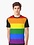 RAINBOW PRIDE FLAG BLACK SLEEVES