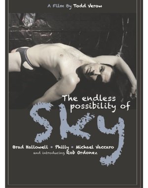  THE ENDLESS POSSIBILITY OF SKY