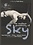 THE ENDLESS POSSIBILITY OF SKY