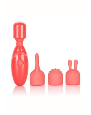 CalExotics CALEXOTICS RECHARGEABLE MASSAGER KIT