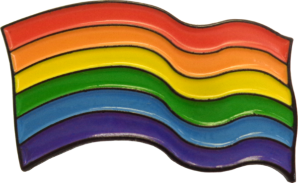 YUNGER RAINBOW WAVY FLAG PIN