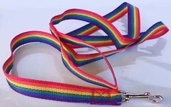 RAINBOW NYLON PET LEASH SM (6'Lx1/3"W)