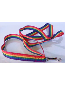  RAINBOW NYLON PET LEASH MD (6'Lx1/2"W)