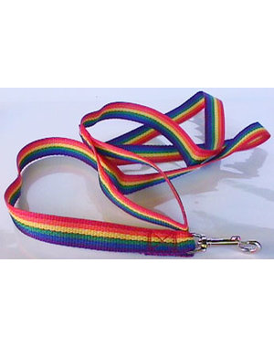  RAINBOW NYLON PET LEASH MD (6'Lx1/2"W)