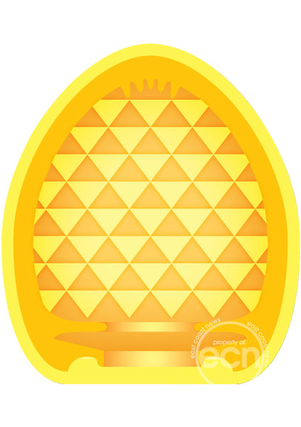 ZOLO ZOLO POCKET POOL