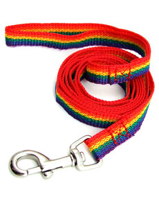 RAINBOW RAINBOW NYLON PET LEASH LG (6'Lx1"W)