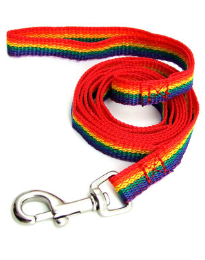 RAINBOW RAINBOW NYLON PET LEASH LG (6'Lx1"W)