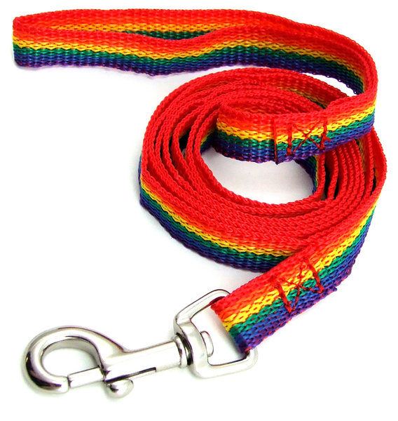 RAINBOW RAINBOW NYLON PET LEASH LG (6'Lx1"W)