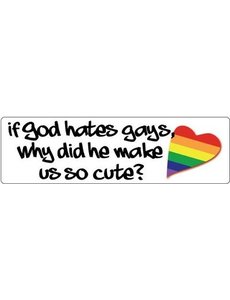 RAINBOW IF GOD HATES GAYS THEN WHY....WE SO CUTE