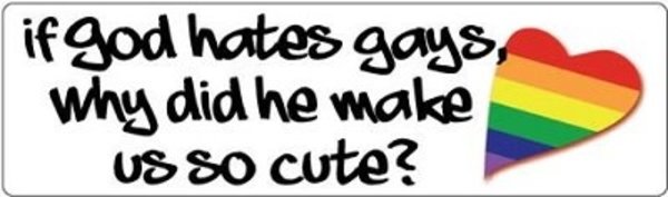 RAINBOW IF GOD HATES GAYS THEN WHY....WE SO CUTE
