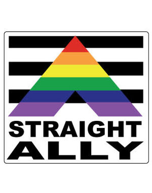 RAINBOW STRAIGHT ALLY STICKER