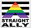 RAINBOW STRAIGHT ALLY STICKER