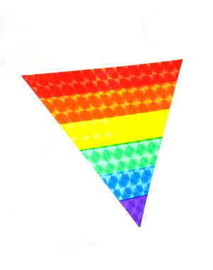 RAINBOW RAINBOW TRIANGLE REFLECTIVE STICKER