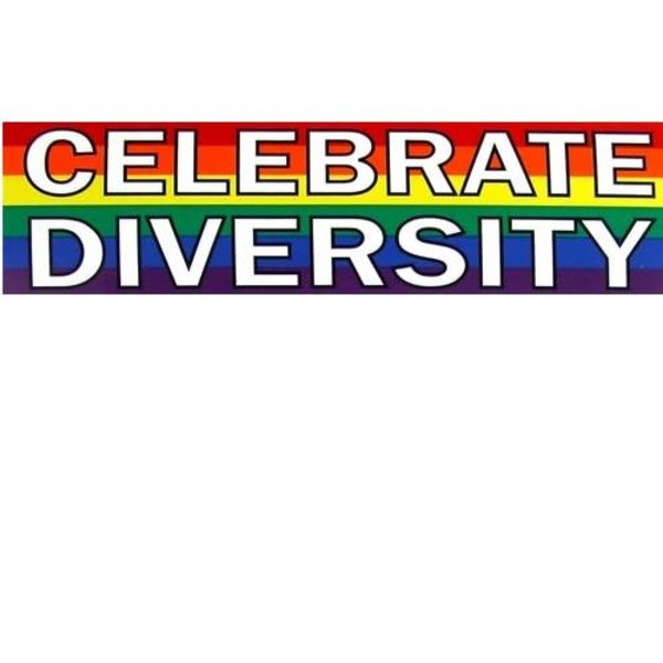 Pride not Prejudice CELEBRATE DIVERSITY STICKER