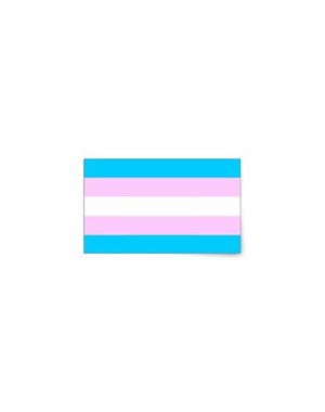  TRANSGENDER FLAG  STICKER