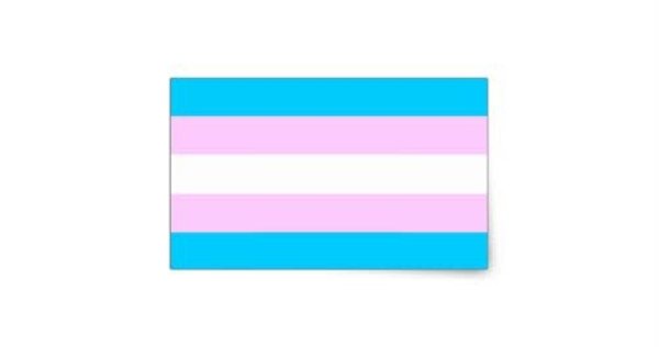TRANSGENDER FLAG  STICKER
