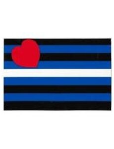 RAINBOW LEATHER FLAG SMALL STICKER