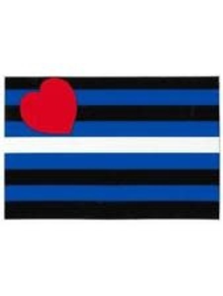 RAINBOW LEATHER FLAG SMALL STICKER